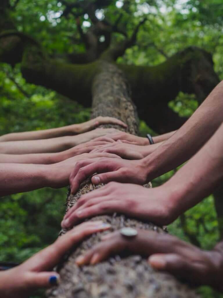 人文科技生态伙伴招募计划正式开启